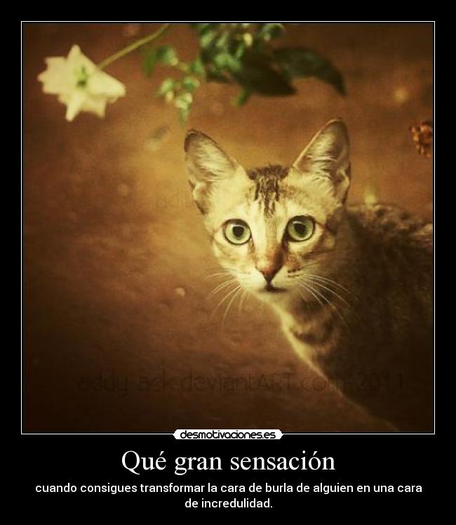 Qué gran sensación - 