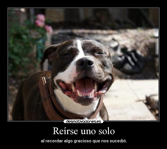 Reírse uno solo -