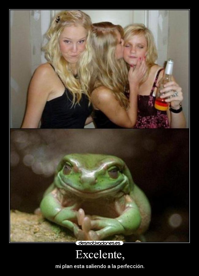 carteles borrachitas vulnerables clanng mejor que desmotivaciones