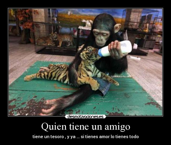 Quien tiene un amigo - tiene un tesoro , y ya ... si tienes amor lo tienes todo