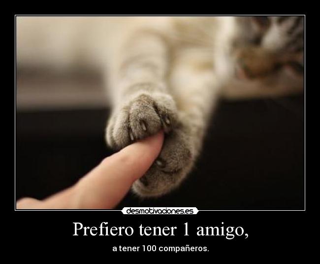 Prefiero tener 1 amigo, -