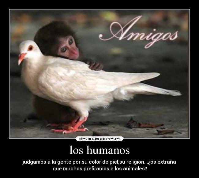 carteles nereadp desmotivaciones