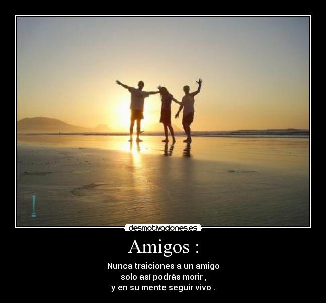 Amigos : -