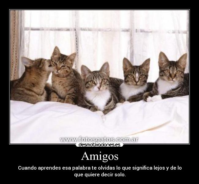 Amigos - Cuando aprendes esa palabra te olvidas lo que significa lejos y de lo
que quiere decir solo.