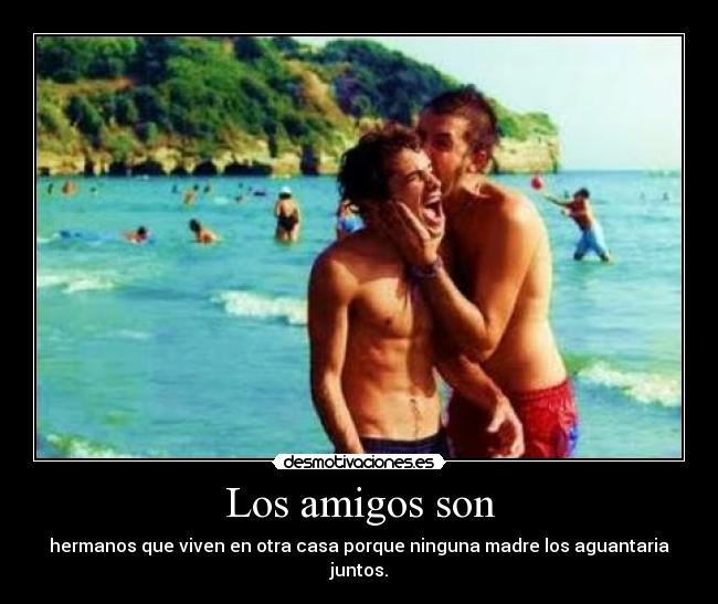 Los amigos son - 