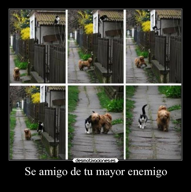 Se amigo de tu mayor enemigo - 