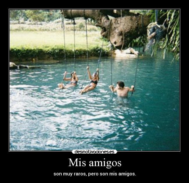 Mis amigos -