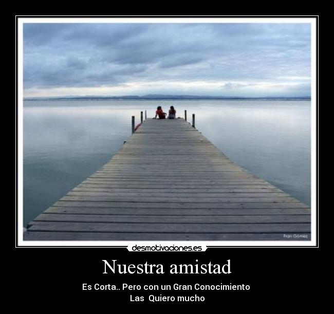 carteles amistad daniela botello desmotivaciones