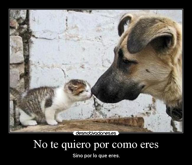 No te quiero por como eres -