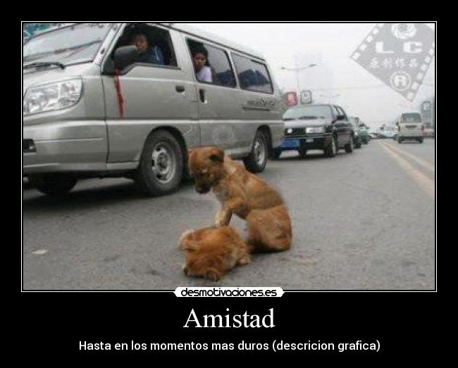Amistad -