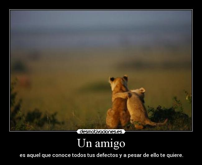 Un amigo - es aquel que conoce todos tus defectos y a pesar de ello te quiere.