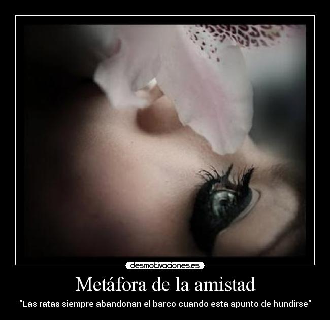 Metáfora de la amistad - Las ratas siempre abandonan el barco cuando esta apunto de hundirse