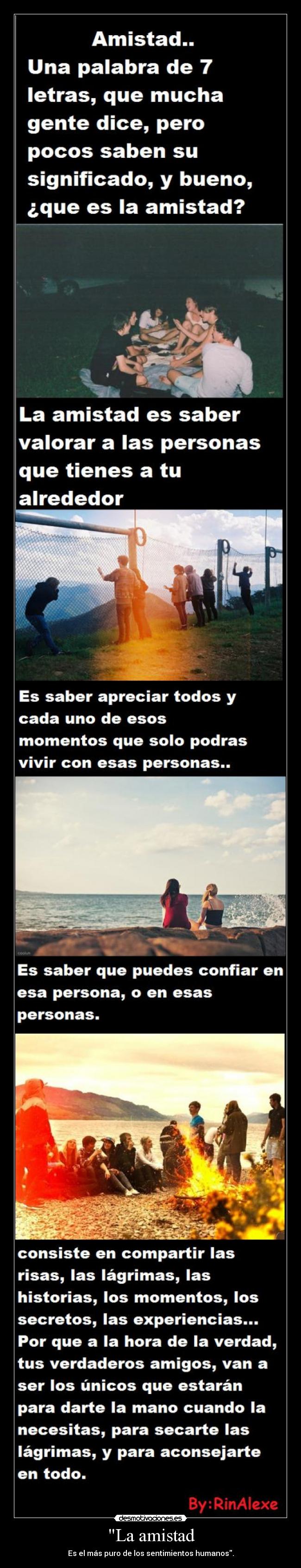 La amistad - Es el más puro de los sentimientos humanos.