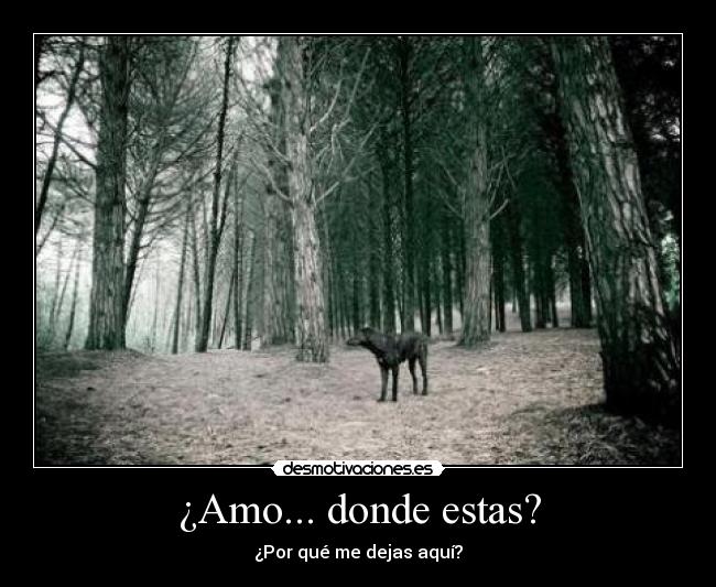 ¿Amo... donde estas? - 