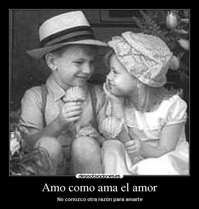 carteles amor amo como ama amor desmotivaciones