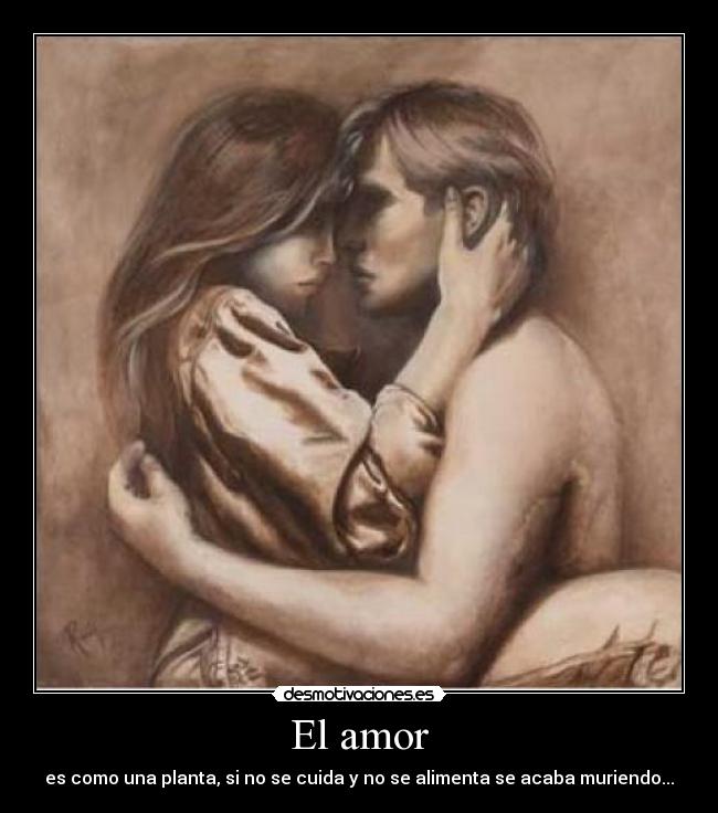 El amor - 