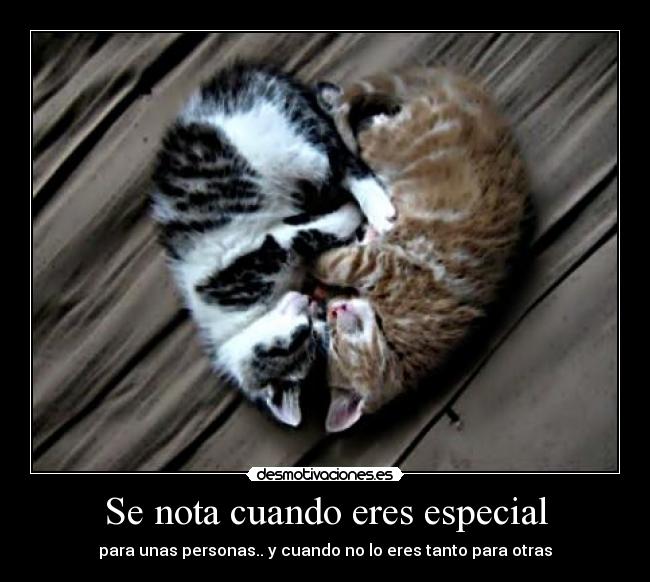 Se nota cuando eres especial - para unas personas.. y cuando no lo eres tanto para otras