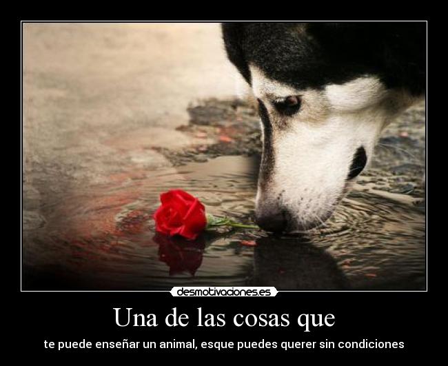 Una de las cosas que -