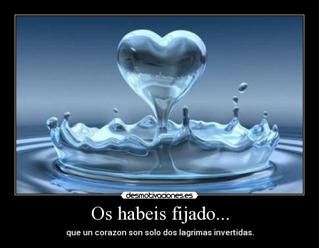 Os habeis fijado... - 