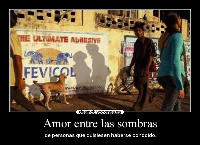 Amor entre las sombras -