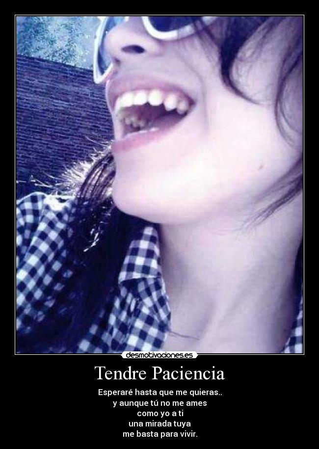 Tendre Paciencia - 