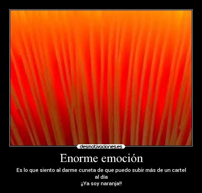 Enorme emoción - Es lo que siento al darme cuneta de que puedo subir más de un cartel al día
¡¡Ya soy naranja!!