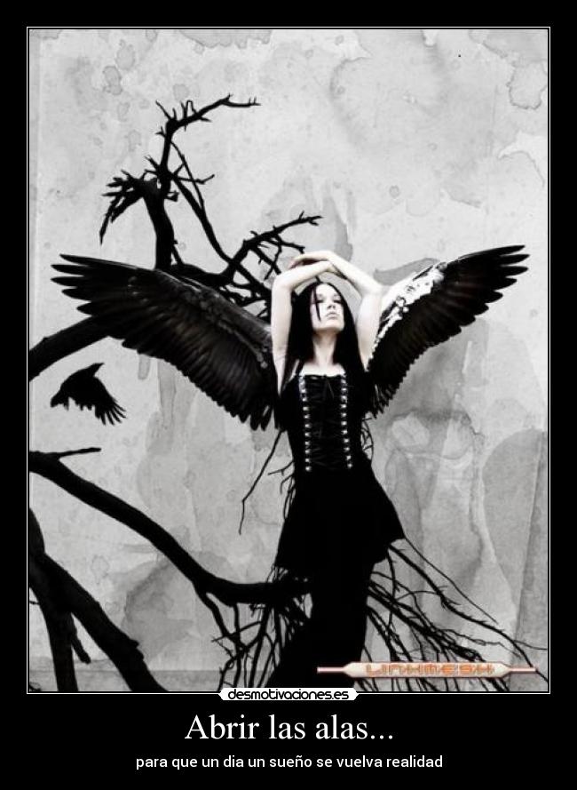 Abrir las alas... - 