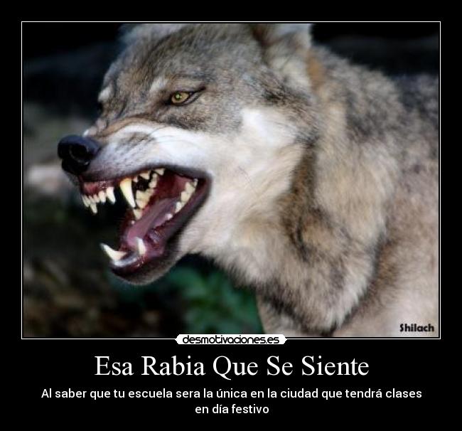Esa Rabia Que Se Siente - Al saber que tu escuela sera la única en la ciudad que tendrá clases en día festivo