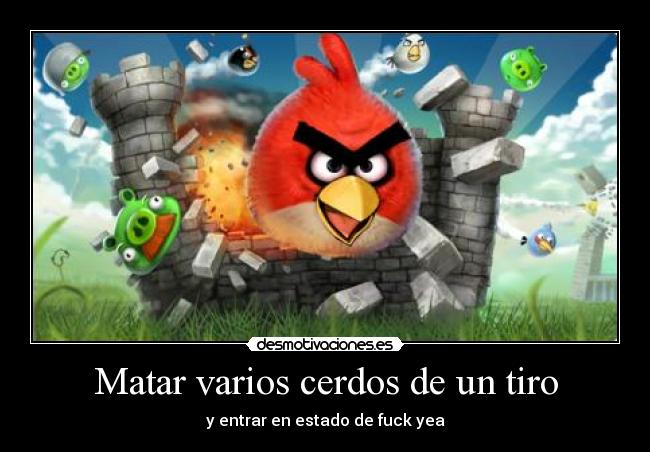 Matar varios cerdos de un tiro - y entrar en estado de fuck yea