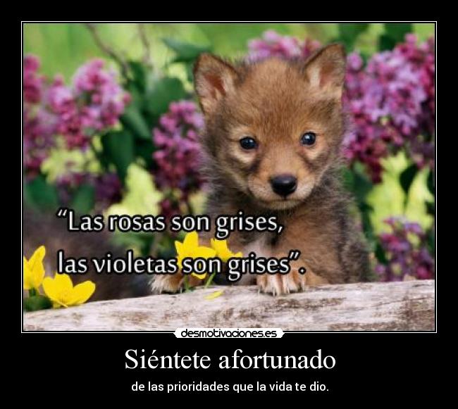 Siéntete afortunado - 