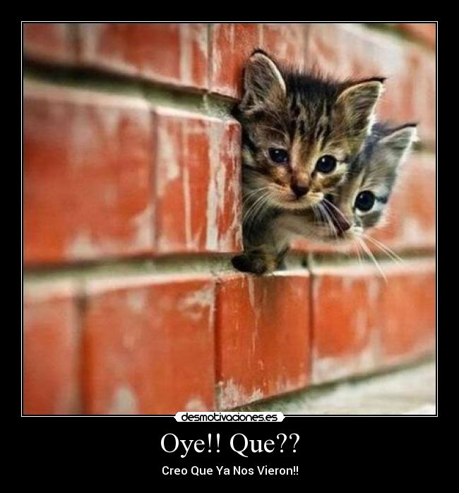 Oye!! Que?? - Creo Que Ya Nos Vieron!!