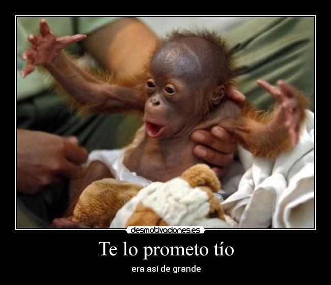 Te lo prometo tío - era así de grande