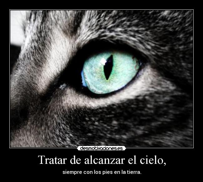 Tratar de alcanzar el cielo, - 
