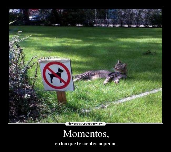 Momentos, -
