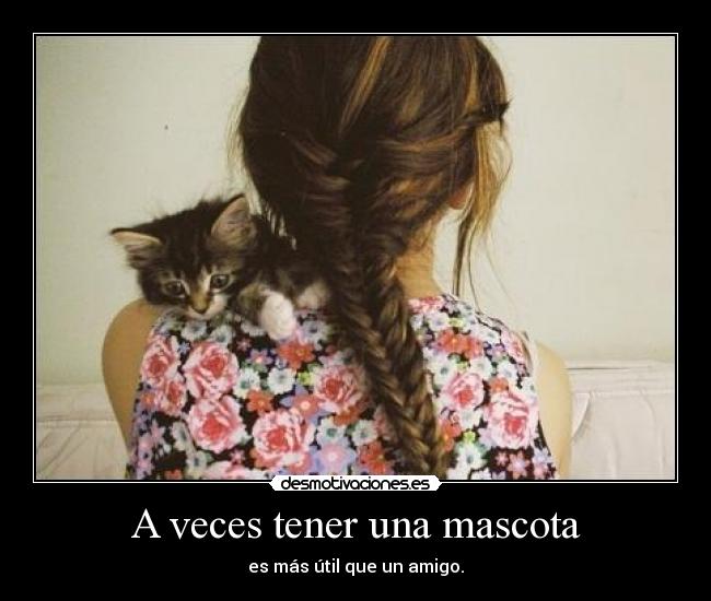 A veces tener una mascota - es más útil que un amigo.
