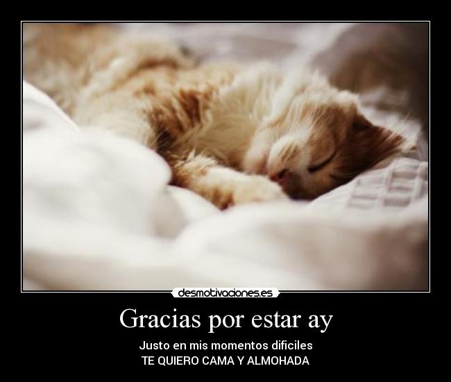 Gracias por estar ay - Justo en mis momentos dificiles
TE QUIERO CAMA Y ALMOHADA