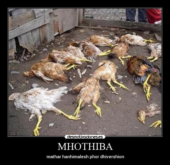 MHOTHIBA -