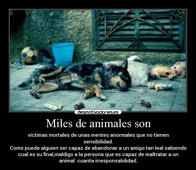 Miles de animales son - víctimas mortales de unas mentes anormales que no tienen
sensibilidad.
Como puede alguien ser capaz de abandonar a un amigo tan leal sabiendo
cual es su final,maldigo a la persona que es capaz de maltratar a un
animal  cuanta irresponsabilidad.