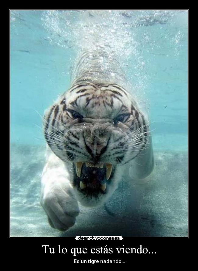 carteles loquendopower estuvo aqui desmotivaciones