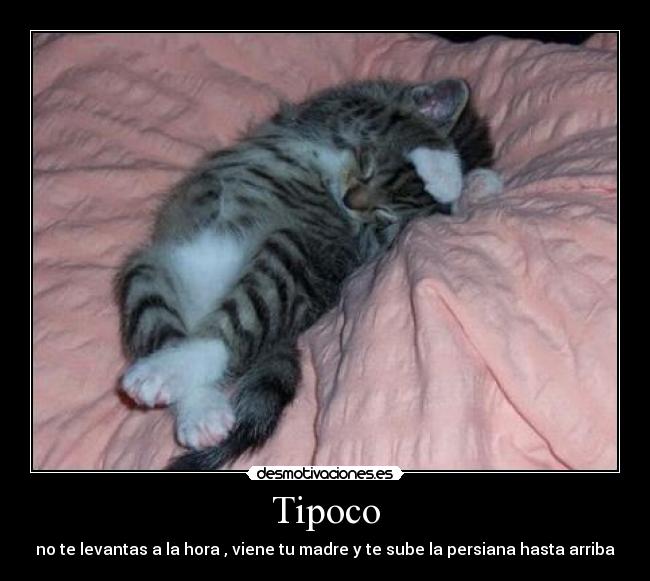 Tipoco - 