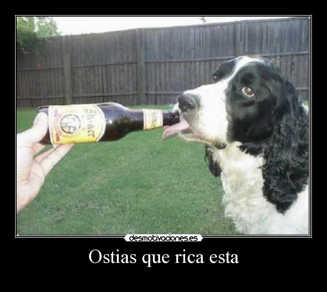 Ostias que rica esta -