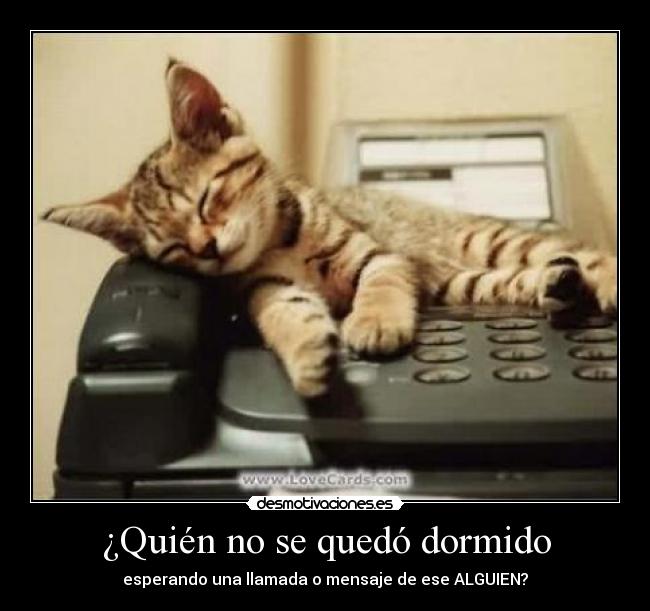 ¿Quién no se quedó dormido - 