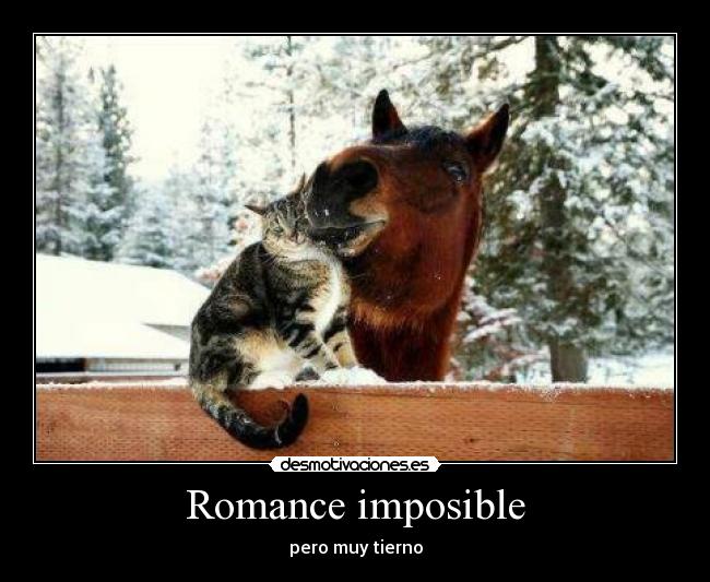 Romance imposible -