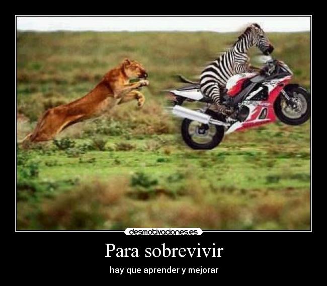 Para sobrevivir - 
