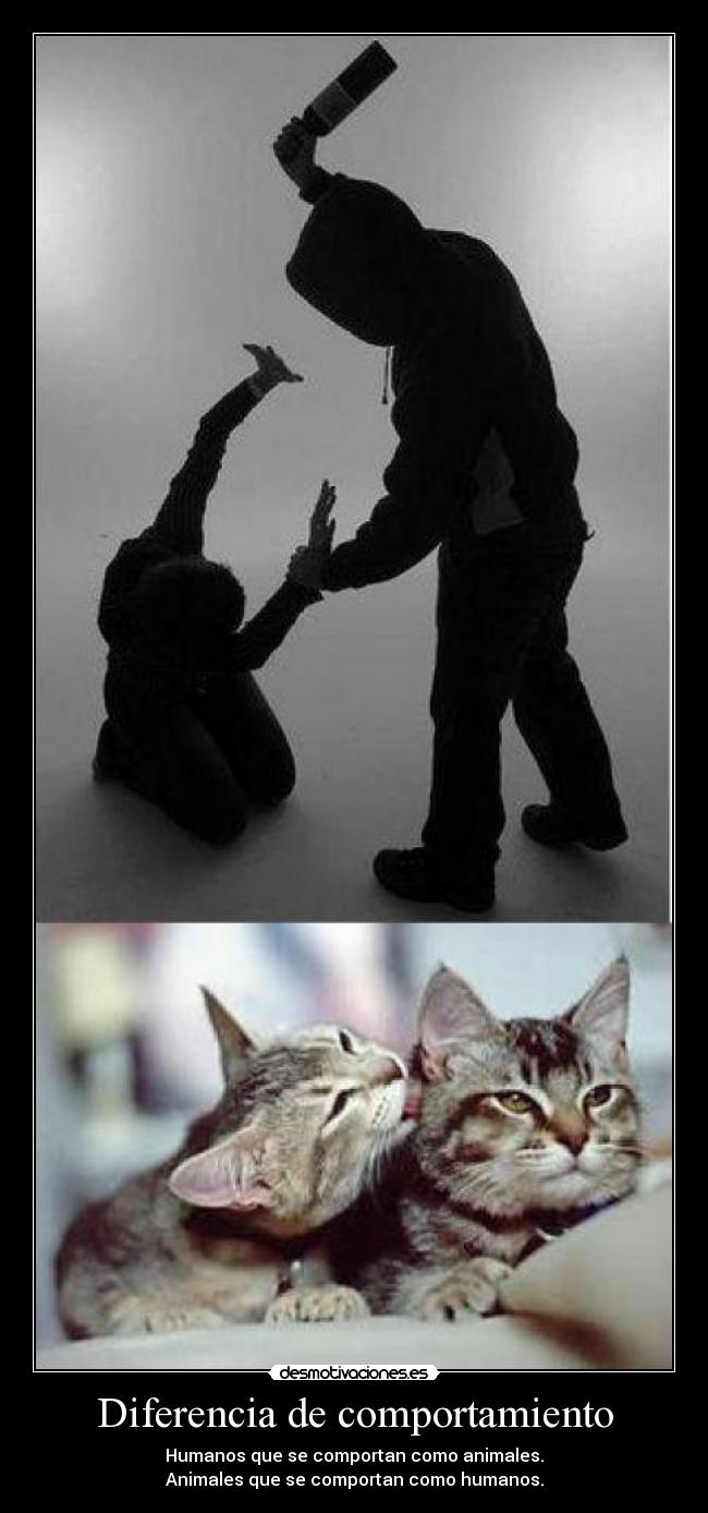 Diferencia de comportamiento - Humanos que se comportan como animales.
Animales que se comportan como humanos.