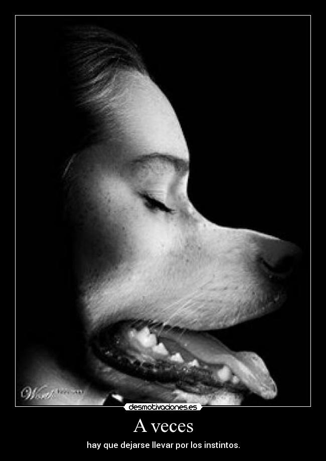 A veces - hay que dejarse llevar por los instintos.