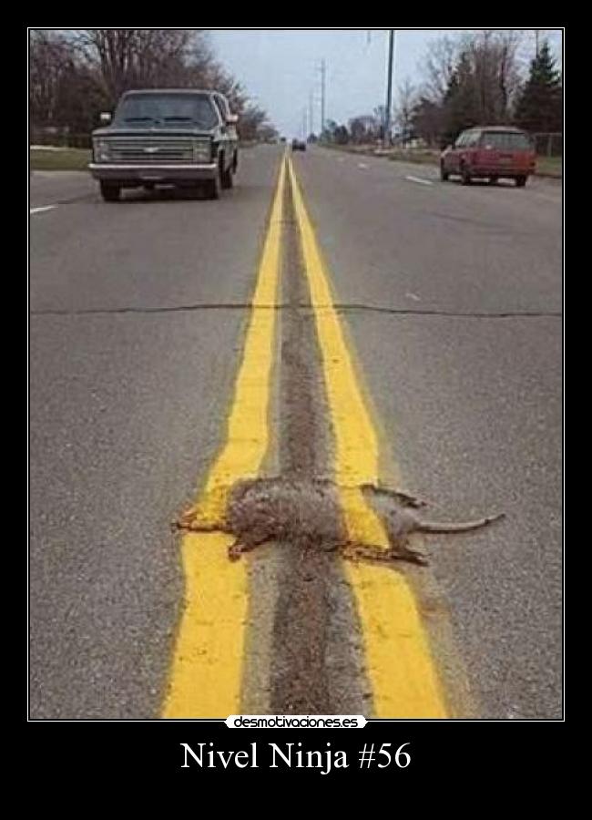 Nivel Ninja #56 -