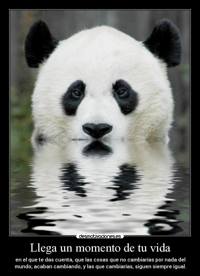 carteles vida biebershiter desmotivaciones