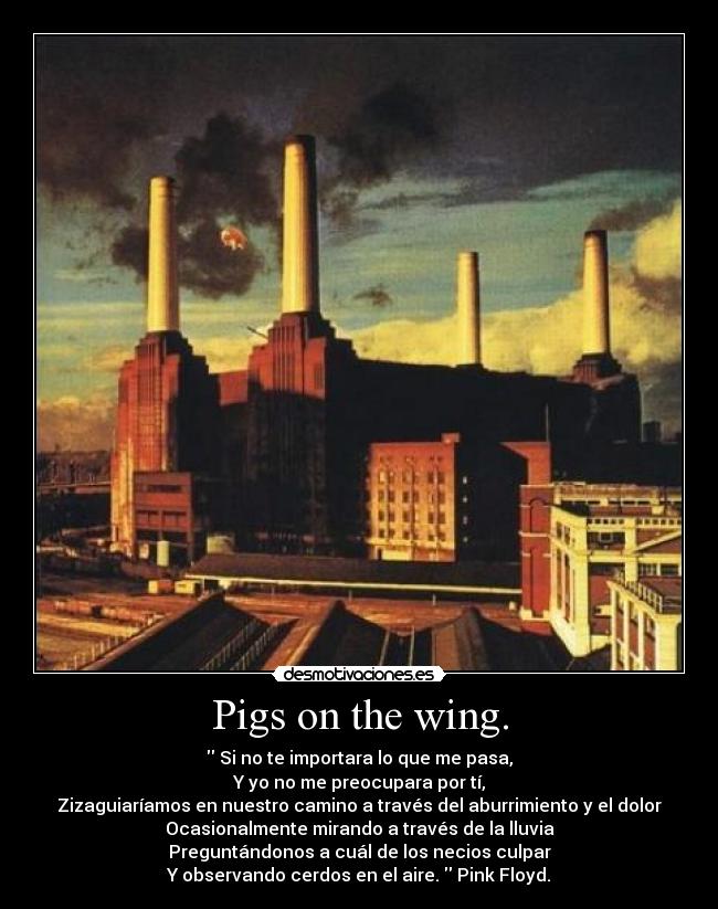 carteles jamespatrickpage gabrirosales s9bm por menos hay alguien normal este mundo desmotivaciones