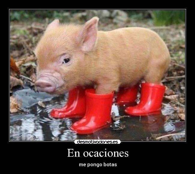 En ocaciones - me pongo botas